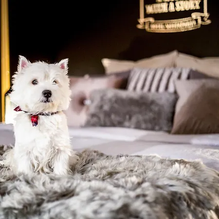 Otel Boutique Mustaparta 3*