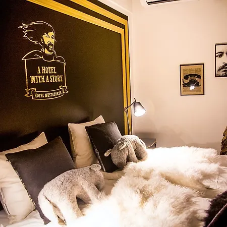 Otel Boutique Mustaparta 3*